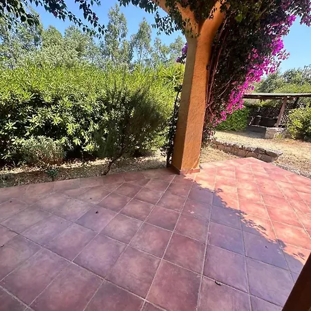 Cam Con Piscina Villa Arzachena